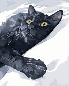 Cat In Snow Paint By Numbers.jpeg
