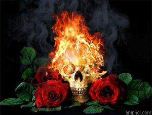 Death Roses Paint By Numbers.jpeg