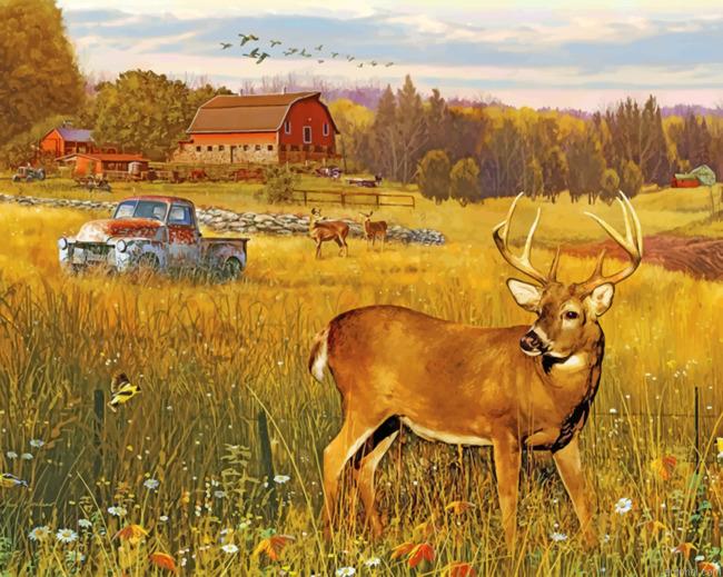 Deer In Farm Field Paint By Numbers