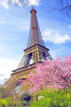 Eiffel Tower In Spring New Paint By Numbers.jpeg