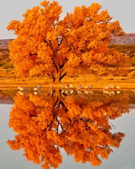 Fall Tree Water Reflection Paint By Numbers.jpeg