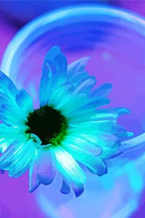 Flower In Glass Paint By Numbers.jpeg