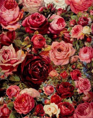 Flowering Roses Paint By Numbers.jpeg