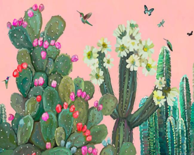 Garden Cactus And Roses Paint By Numbers