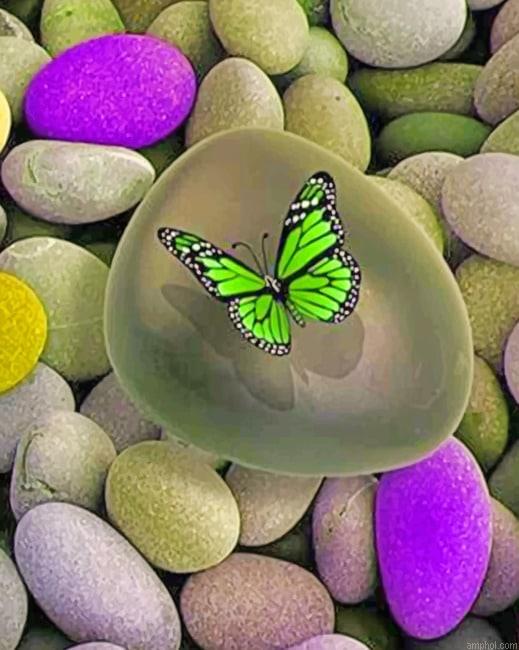Green Butterfly Insects Paint By Numbers