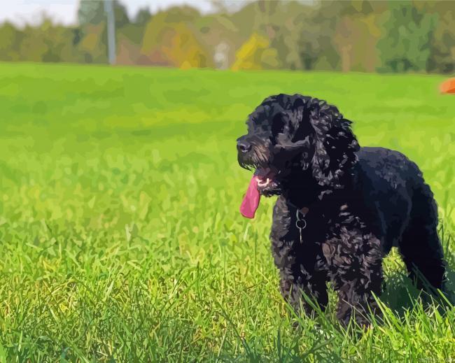 Happy Black Cockapoo Paint By Numbers