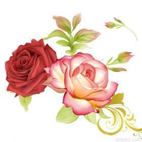 Heirloom Roses Paint By Numbers.jpeg