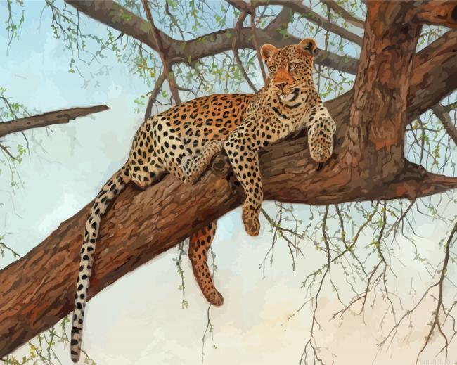 Leopard In Tree Paint By Numbers.jpeg
