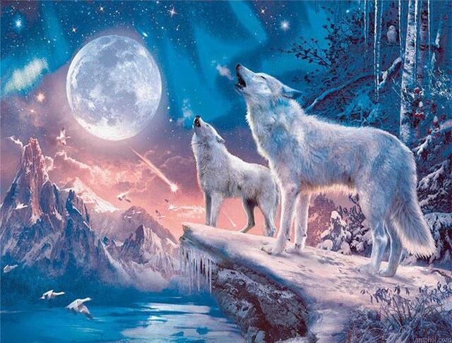 Light Wolves Paint By Numbers.jpeg
