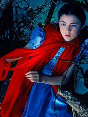 Little Red Riding Hood Paint By Numbers.jpeg