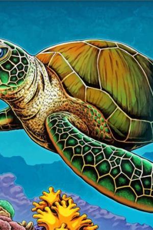 Loggerhead Sea Turtle Paint By Numbers.jpeg