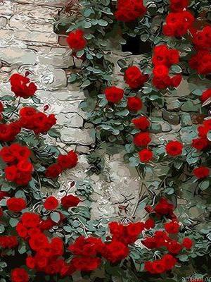 Love Roses Paint By Numbers.jpeg