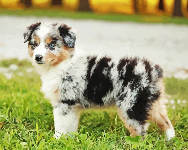 Mini Aussie Paint By Numbers