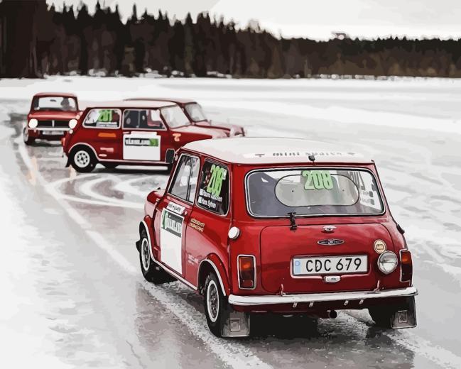 Mini Rally Cars Paint By Numbers