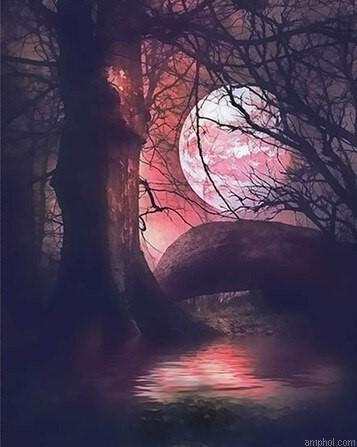 Moon Tree Paint By Numbers