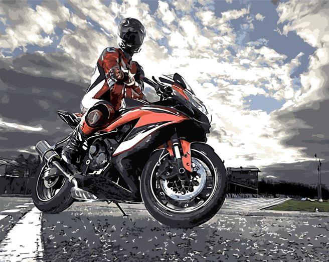 Motorcycle Driver Paint By Numbers