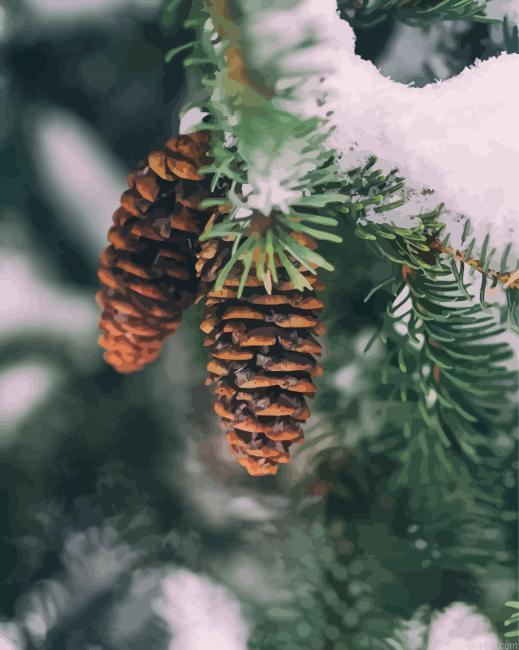 Pinecone In Snowy Tree Paint By Numbers