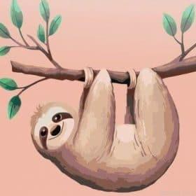 Pink Sloth Paint By Numbers.jpeg