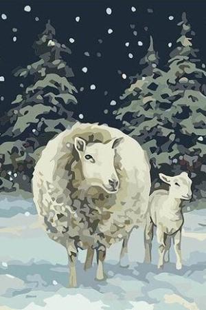 Sheep In Snow Paint By Numbers.jpeg