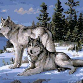 Snow Wolves Paint By Numbers.jpeg