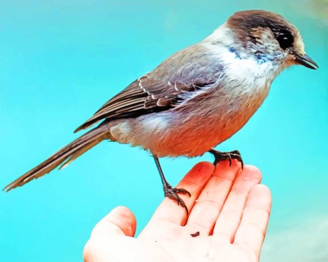 Sparrow Bird In Hand Paint By Numbers