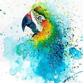 Splashed Parrot Paint By Numbers.jpeg