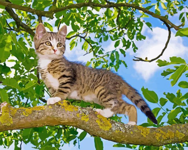 Tree Kitten Paint By Numbers