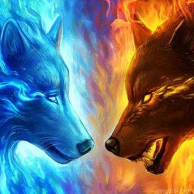 Wolves Paint By Numbers.jpeg