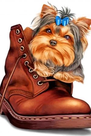 Yorkie In A Boot Paint By Numbers.jpeg