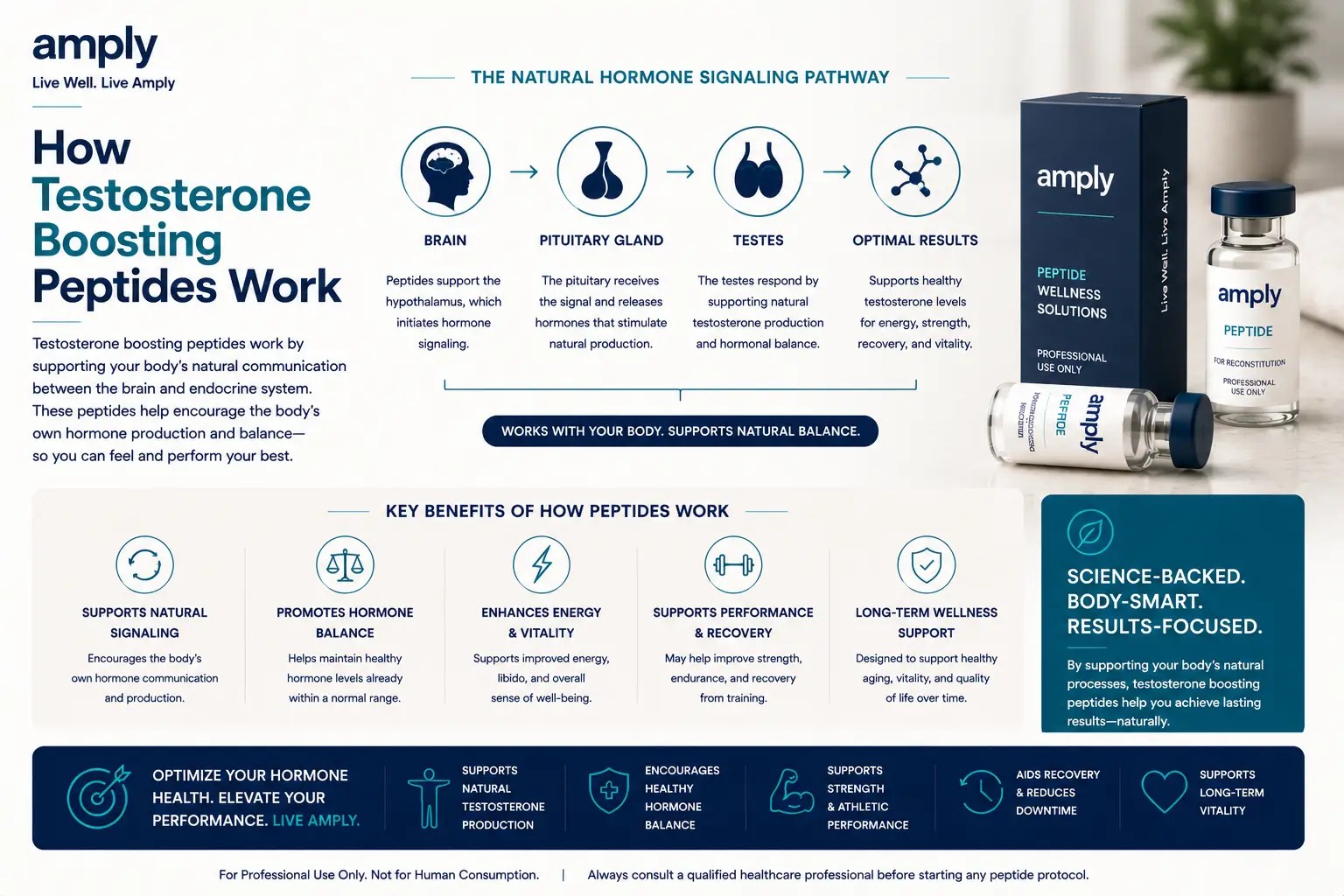 Amply educational infographic featuring generic professional-use peptide packaging and vials alongside a simplified hormone signaling pathway illustration. The graphic demonstrates how testosterone boosting peptides may support the body's natural communication between the brain, pituitary gland, and endocrine system to promote hormone balance, energy, recovery, performance, and long-term vitality.