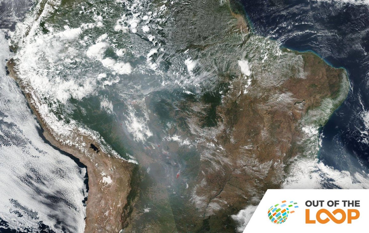 Out of the Loop: Amazon Wildfires