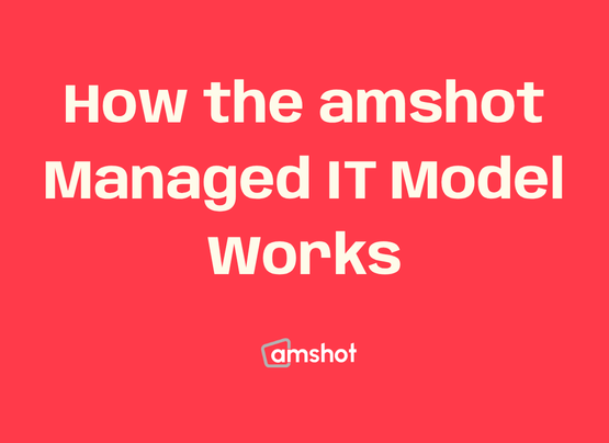How the amshot Managed IT Model Works