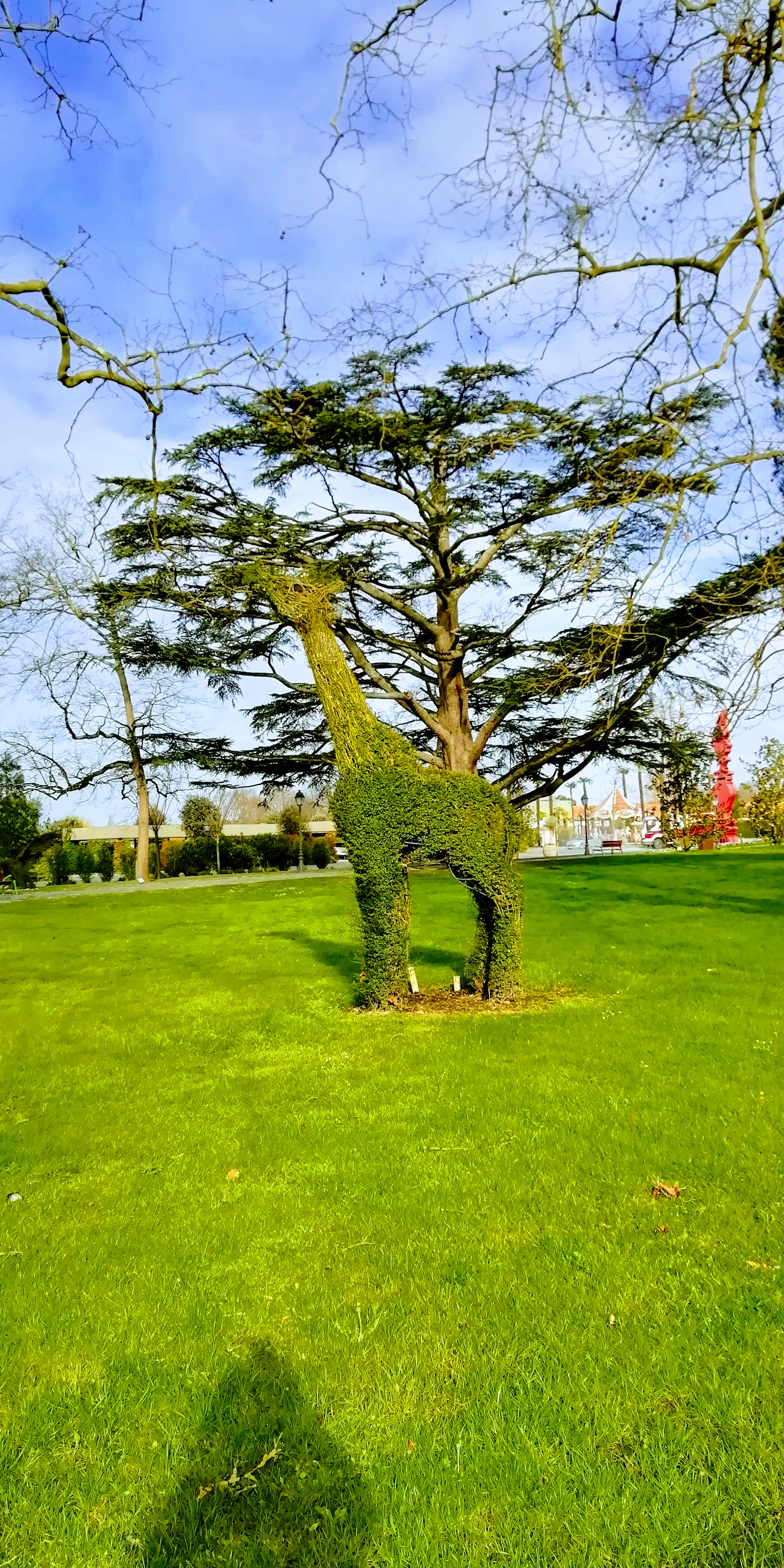 Topiary giraffe