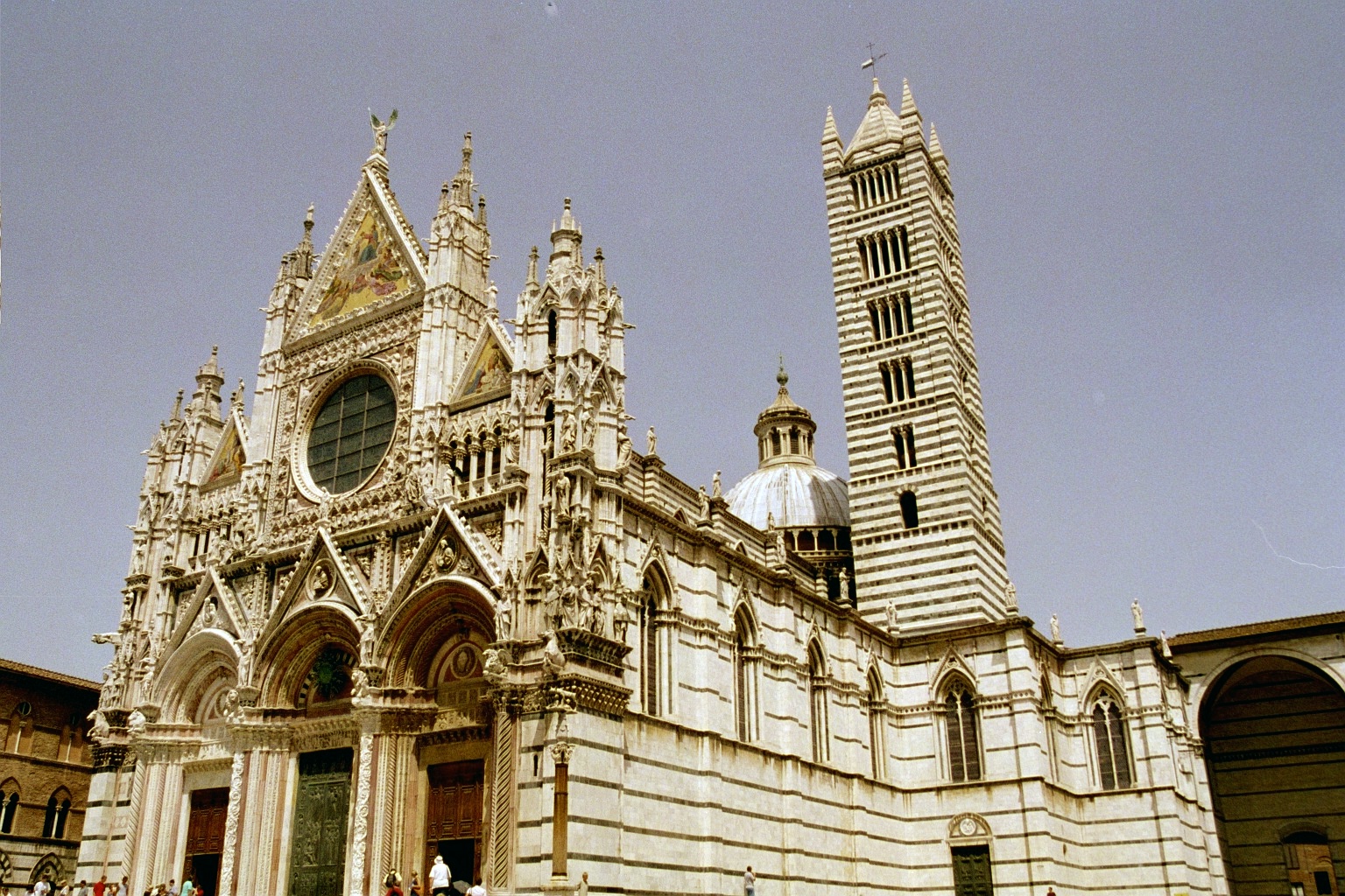 siena6
