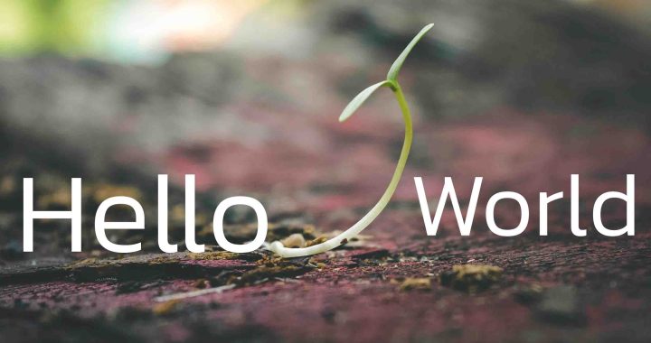 Codingden Home For Programmers - Elegant Gradient Background - Ultra HD