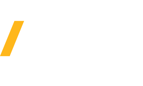 Ansys white