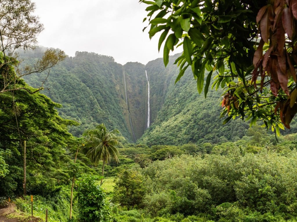 If you've had your heart set on a road trip around hawaii, this is your lucky month. 4 Day Big Island Itinerary How To Spend 4 Days On Hawaii Island