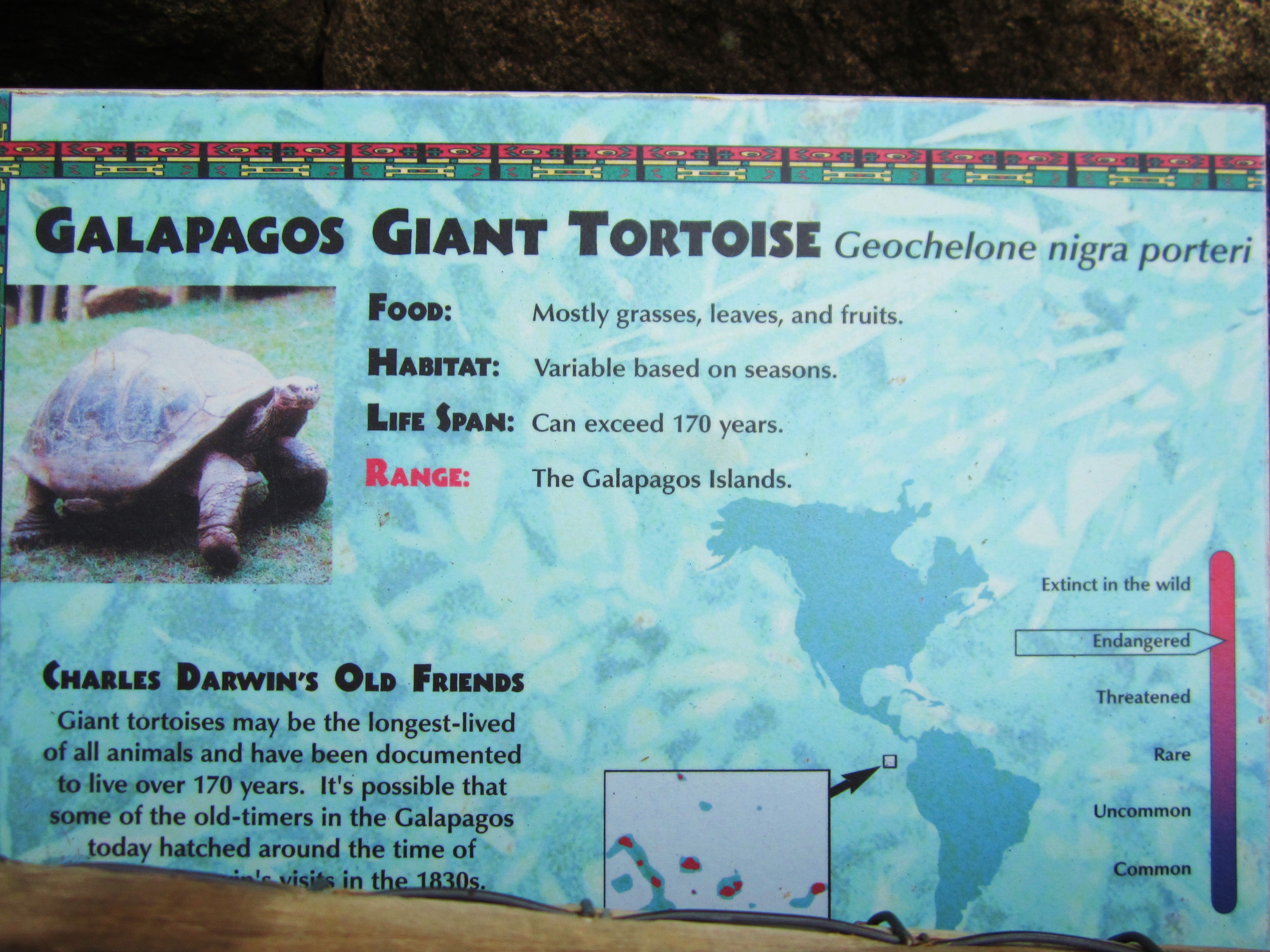 Riverbanks Zoo – Here-There-Everywhere – This-That-Everything