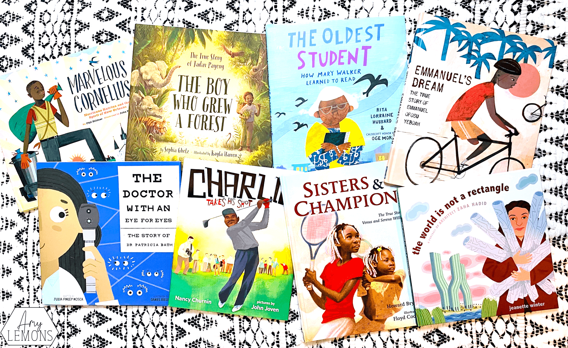 diversify classroom library 1