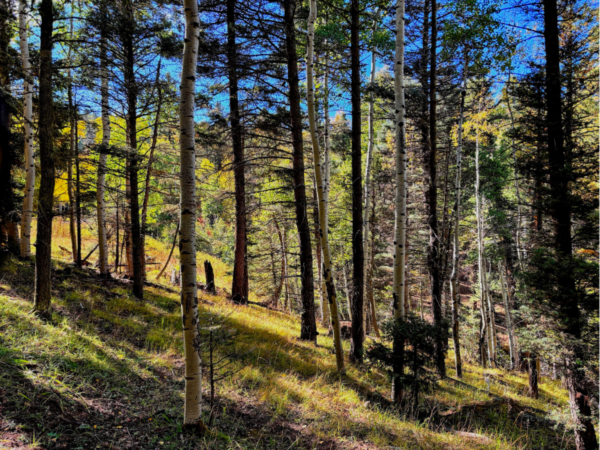 lot 832 via del rey