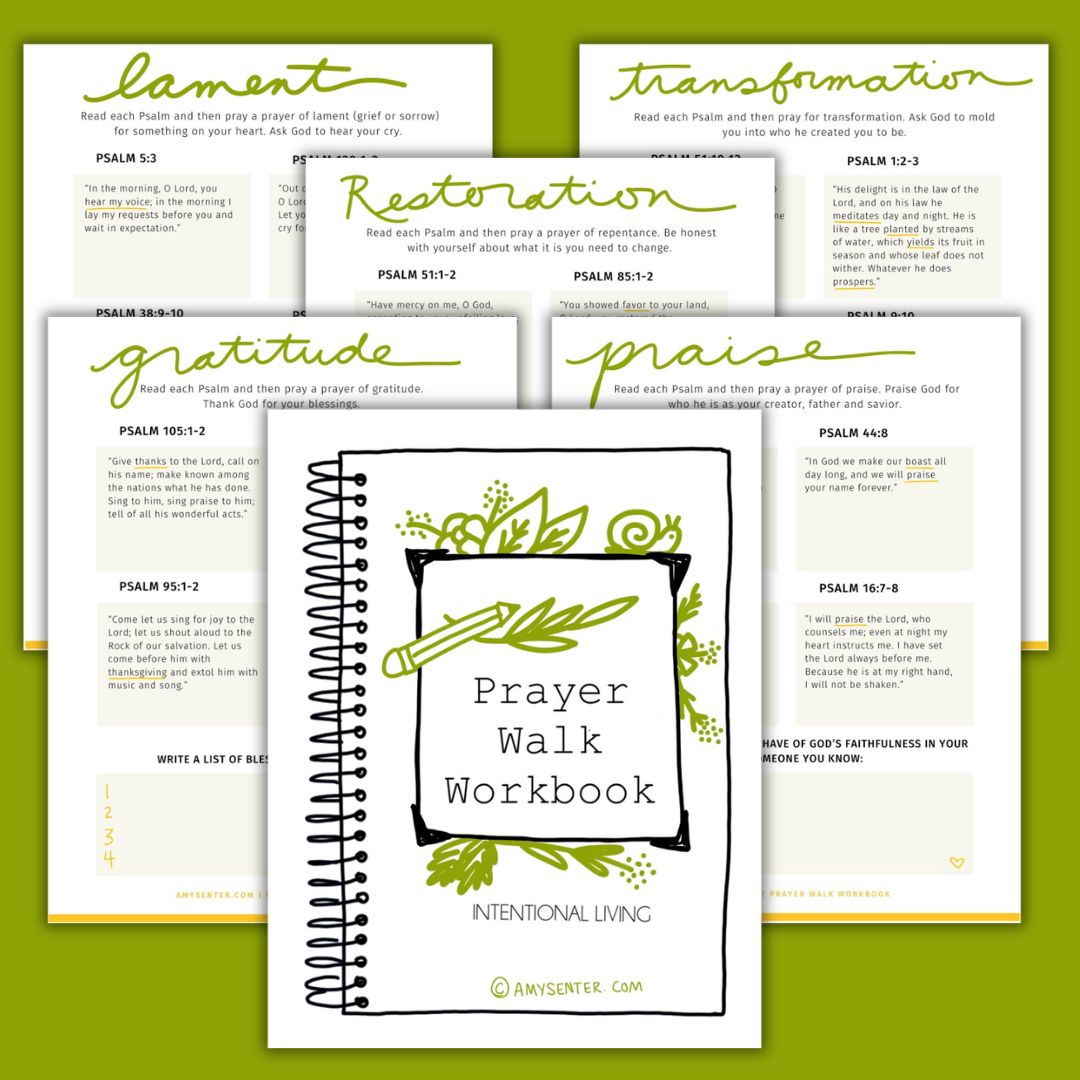 Prayer Bible Study Workbook (Digital)