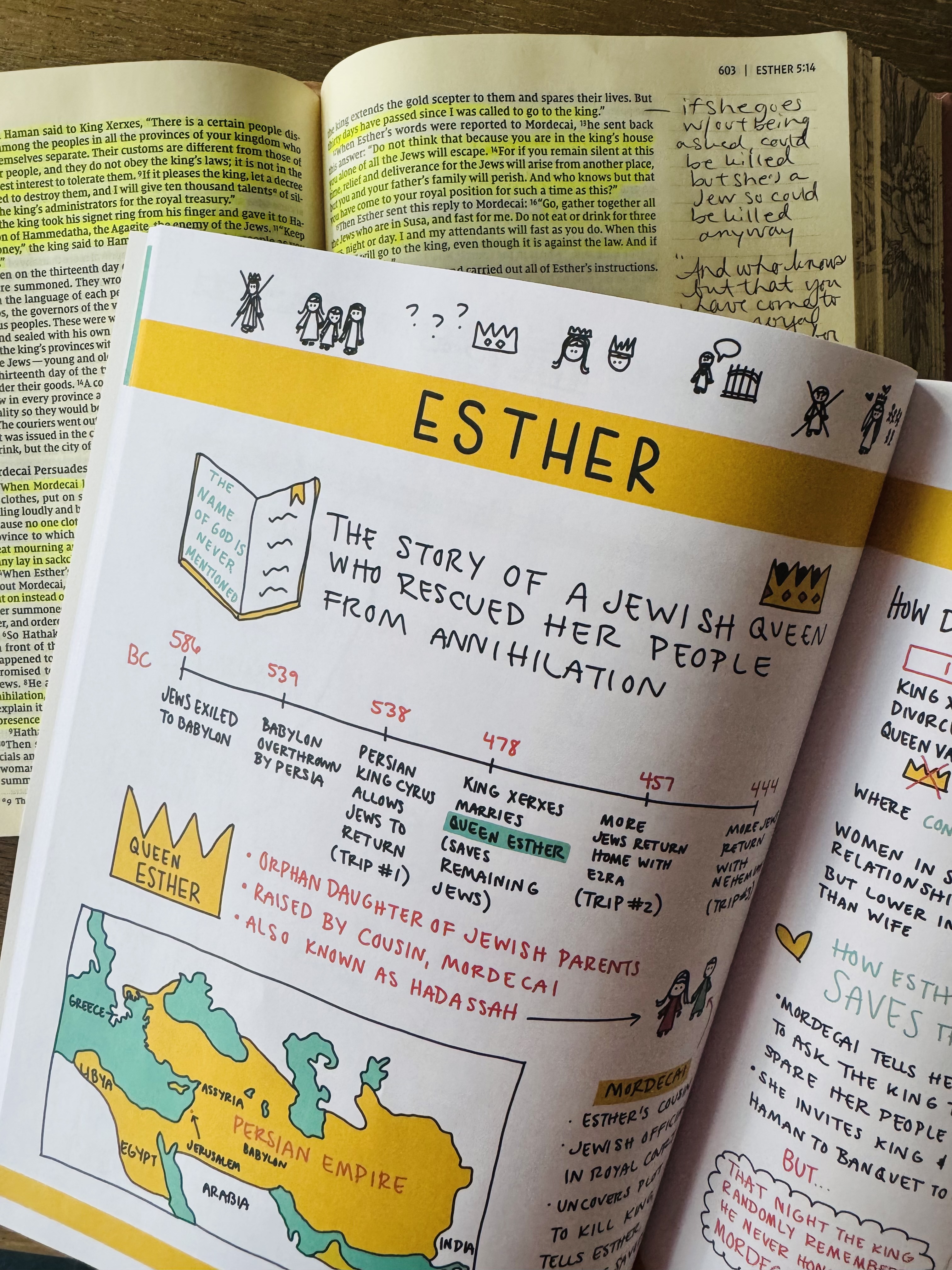 The SIMPLE Guide to the Old Testament (Physical Book)