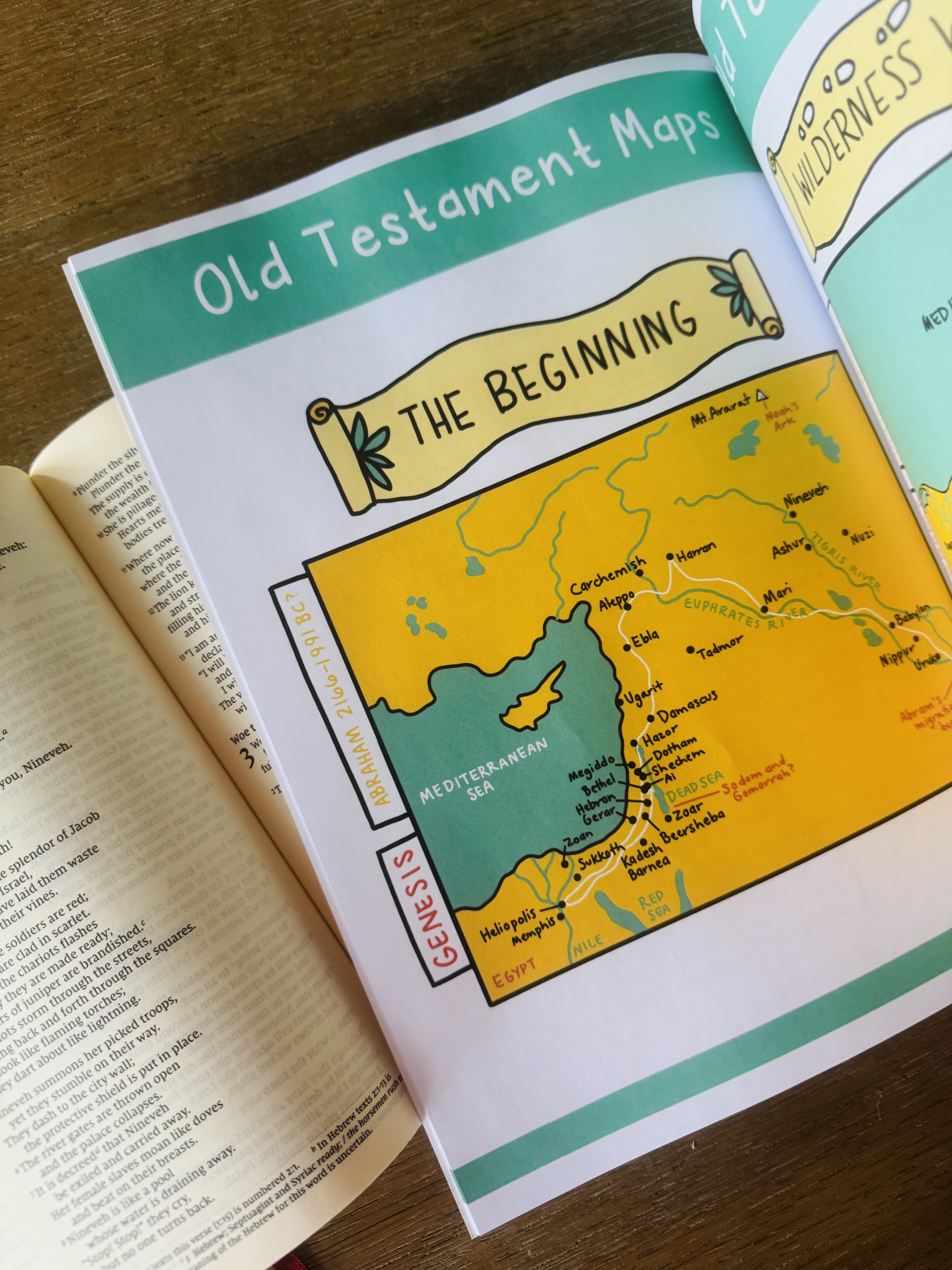 The SIMPLE Guide to the Old Testament (Physical Book)