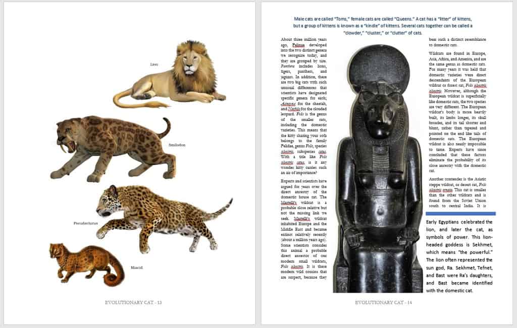 Cat Life: Celebrating the History, Culture & Love of the Cat by