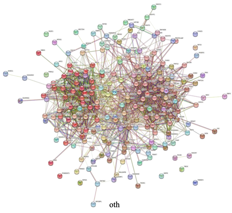 Github Dhglab Asd Integration Subtypes Manuscript - Best Gradient Patterns in HD