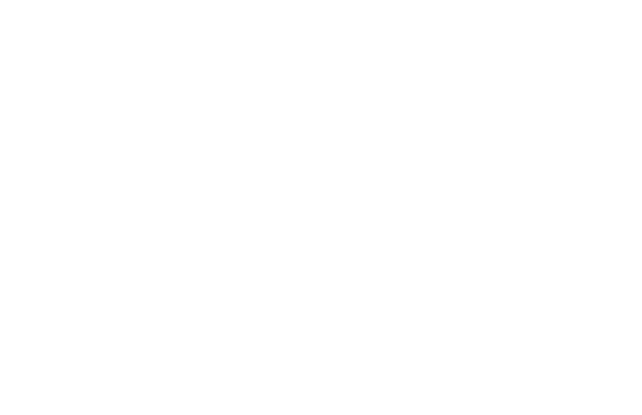 Logo Asconda Carbon