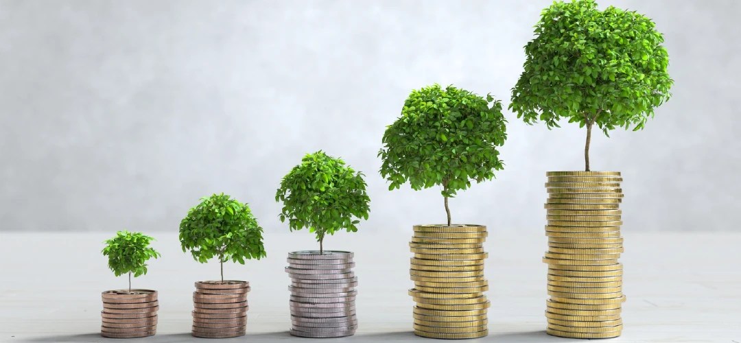 Ganancias a través de la sostenibilidad