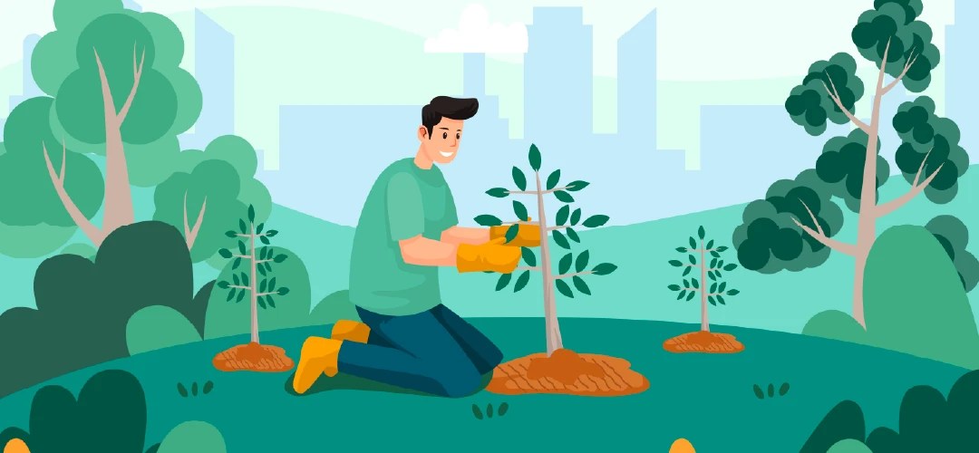 Proyectos forestales