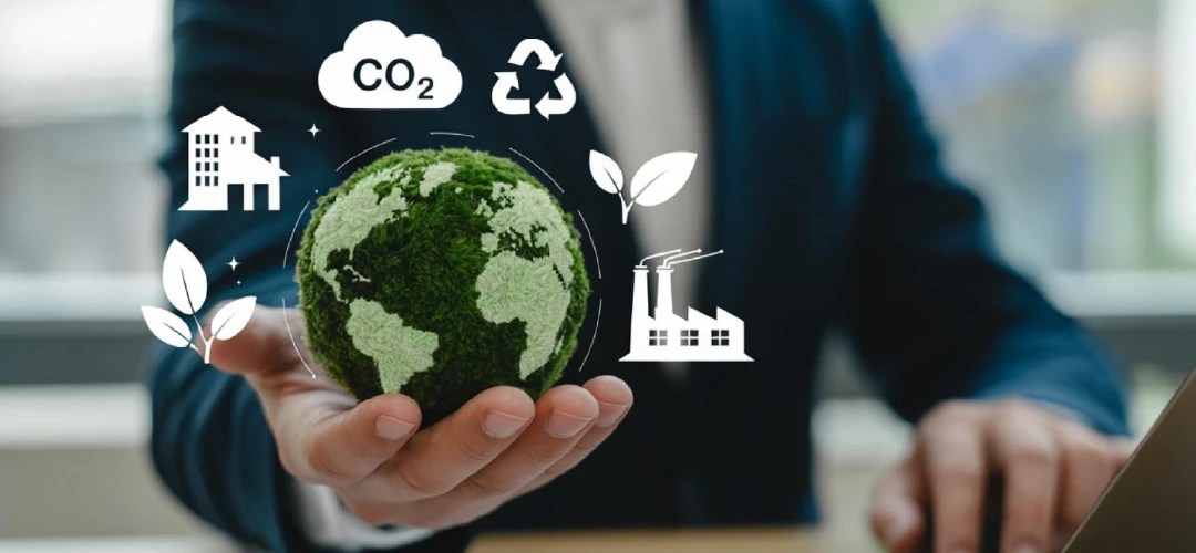Empresa evaluando cuándo compensar sus emisiones de carbono con créditos certificados en Latinoamérica