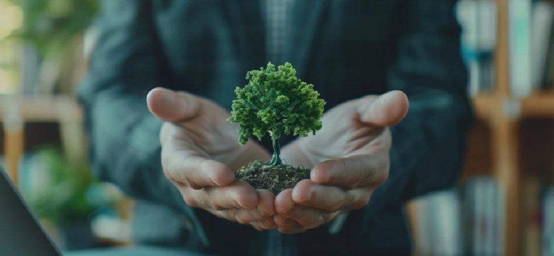 Empresa carbono neutro con créditos certificados Verra Gold Standard LATAM